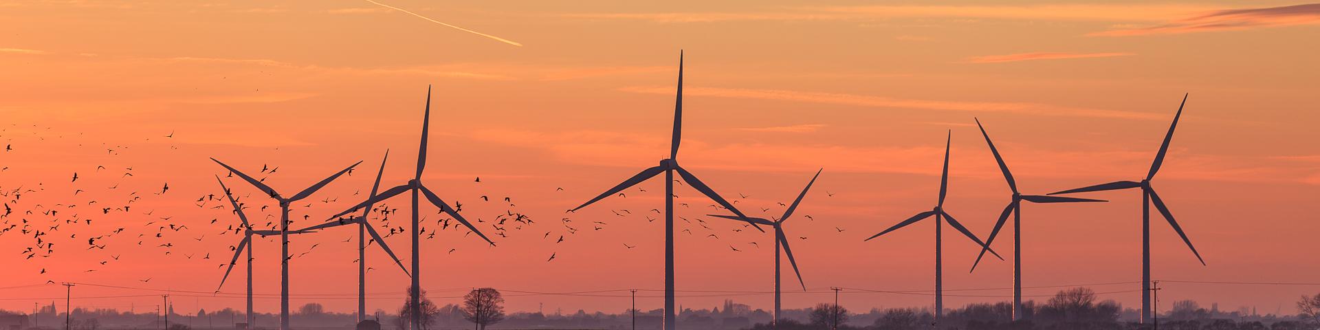 wind turbines at sunset