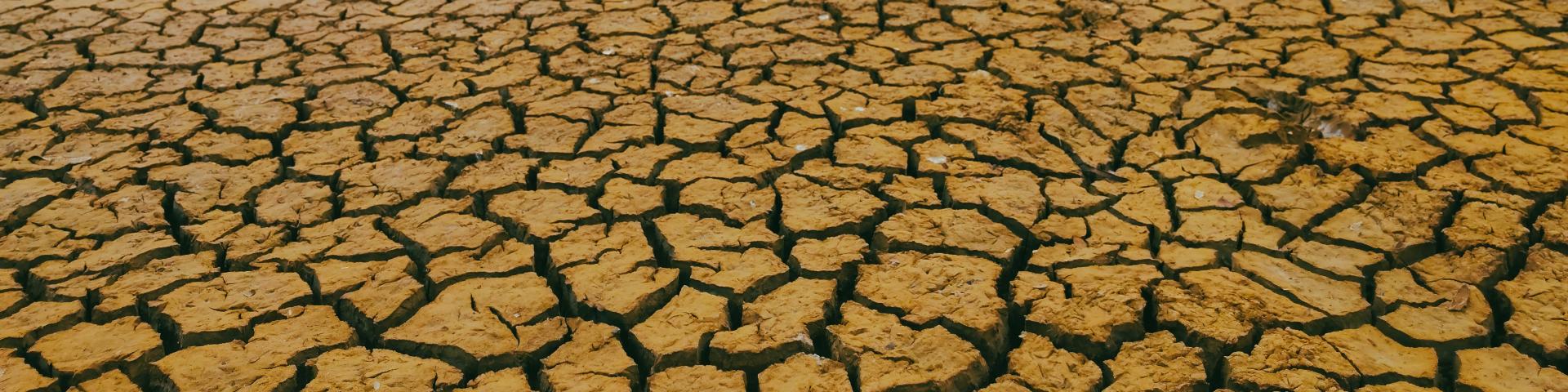 barren, parched and dry ground
