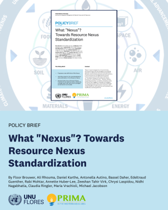 What "Nexus"? Policy Brief UNU-FLORES